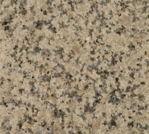 Baldosa de Granito Beige Antico